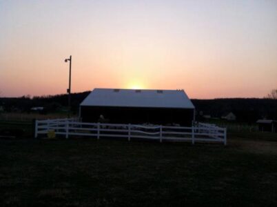 Rancho Cappuccino Case Study: Is It Contagious? Part 2 Image